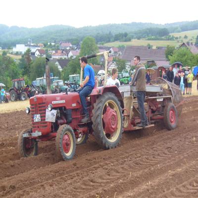Foto des Albums: Feldtag 2013