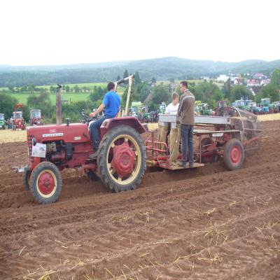 Foto des Albums: Feldtag 2013