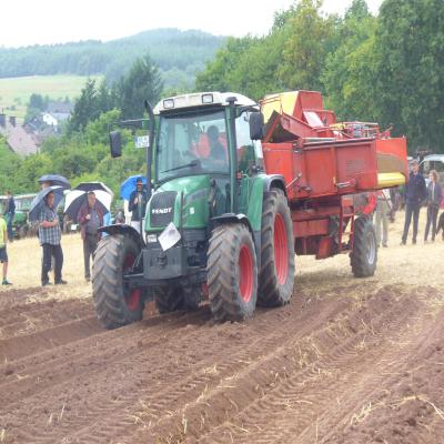 Foto des Albums: Feldtag 2013