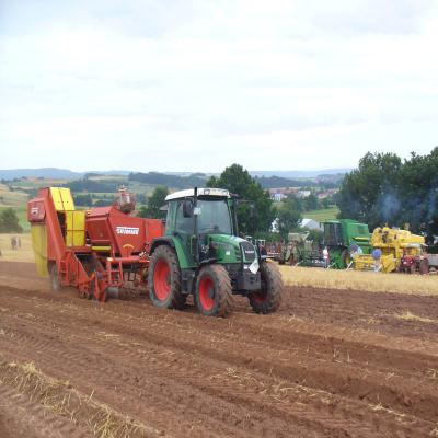 Foto des Albums: Feldtag 2013