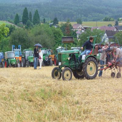 Foto des Albums: Feldtag 2013