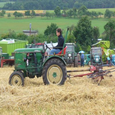 Foto des Albums: Feldtag 2013