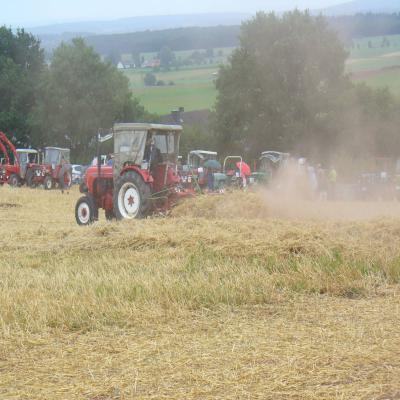 Foto des Albums: Feldtag 2013