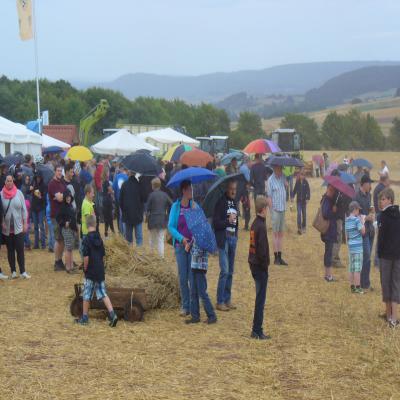 Foto des Albums: Feldtag 2013