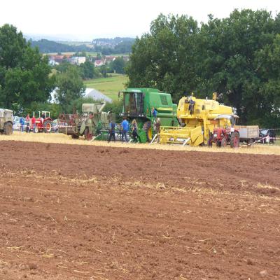 Foto des Albums: Feldtag 2013