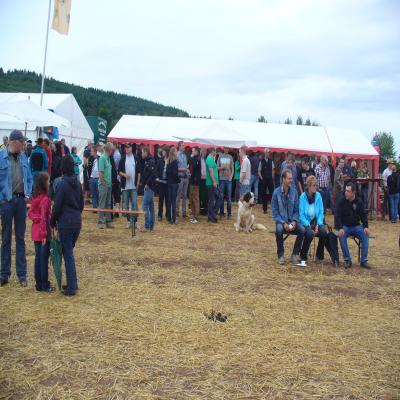 Foto des Albums: Feldtag 2013