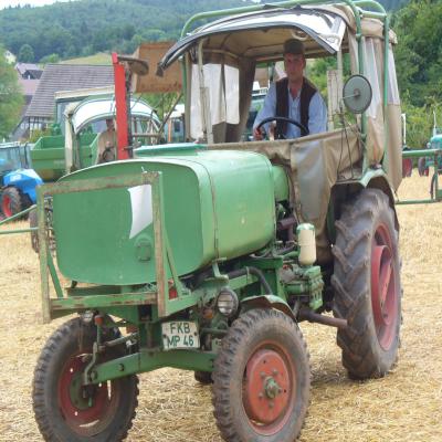 Foto des Albums: Feldtag 2013