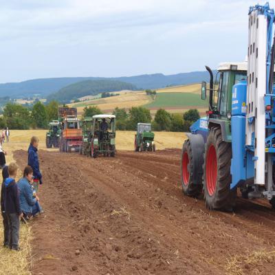 Foto des Albums: Feldtag 2013
