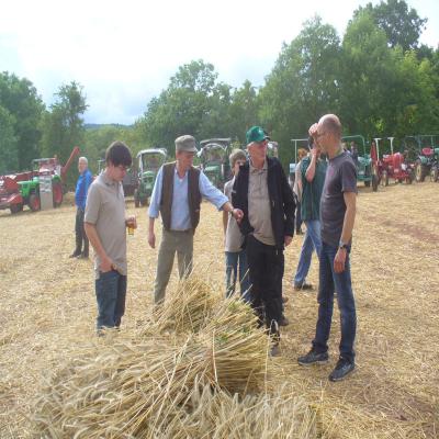 Foto des Albums: Feldtag 2013
