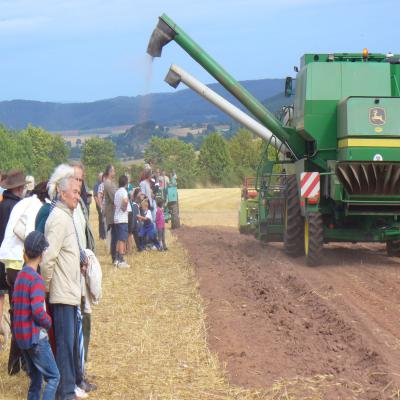 Foto des Albums: Feldtag 2013