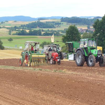 Foto des Albums: Feldtag 2013