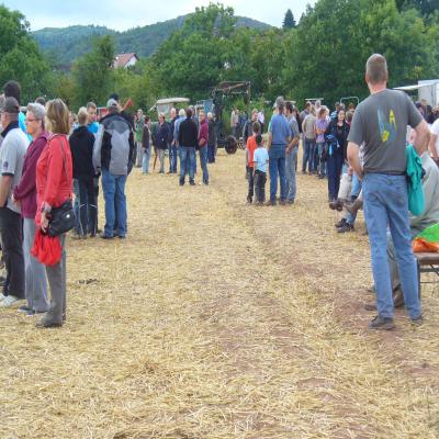 Foto des Albums: Feldtag 2013