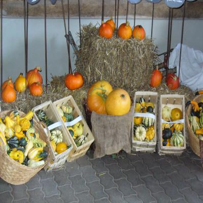 Foto des Albums: Herbstmarkt 2010