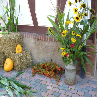 Foto des Albums: Herbstmarkt 2010