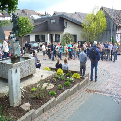Foto des Albums: Waldbegang 2013