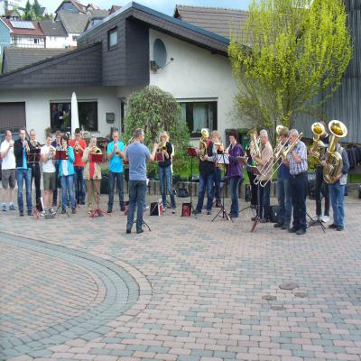 Foto des Albums: Waldbegang 2013