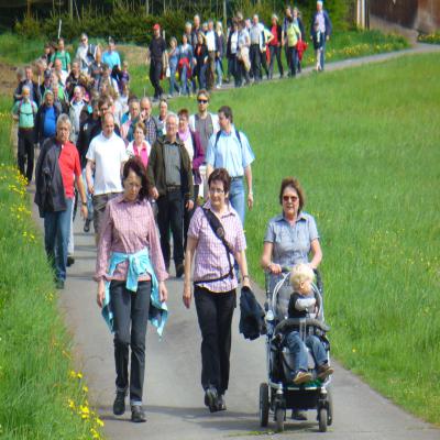 Foto des Albums: Waldbegang 2013