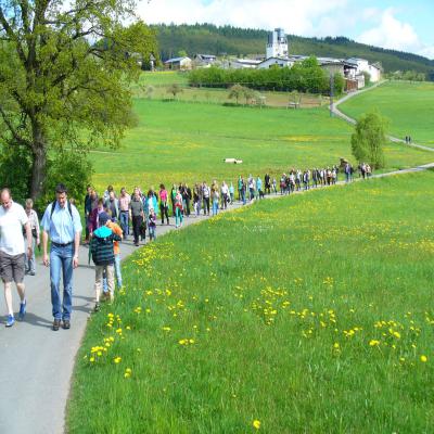 Foto des Albums: Waldbegang 2013