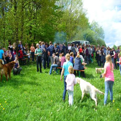 Foto des Albums: Waldbegang 2013