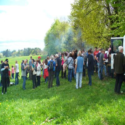 Foto des Albums: Waldbegang 2013