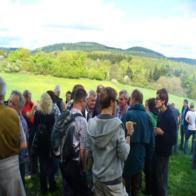 Foto des Albums: Waldbegang 2013