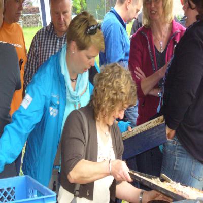 Foto des Albums: Backfest 2012