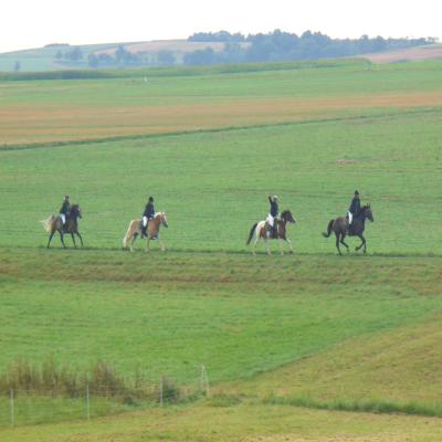 Foto des Albums: Grenzgang Wollmar 2013