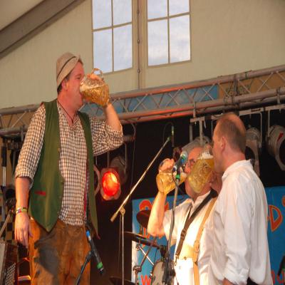 Foto des Albums: Festtag 2008 Samstag Wolperdinger