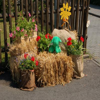 Foto des Albums: Festtag 2008 Sonntag