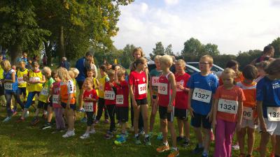 Foto des Albums: Angermünder Sommerlauf 30.08.2014