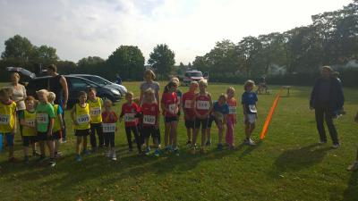 Foto des Albums: Angermünder Sommerlauf 30.08.2014