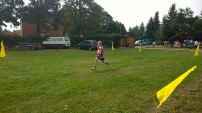 Foto des Albums: Angermünder Sommerlauf 30.08.2014