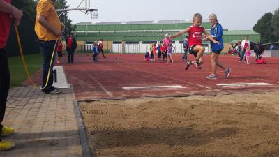 Foto des Albums: Torgelower Bahnabschluss 30.08.2014 (03.​09.​2014)