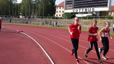 Foto des Albums: Landesmeisterschaften Cottbus, 06.09 und 07.09.2014