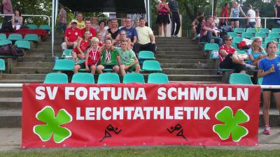Foto des Albums: Landesmeisterschaften Cottbus, 06.09 und 07.09.2014