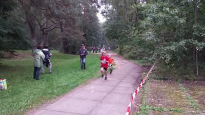 Foto des Albums: Templiner Lübbeseelauf, 13.09.2014