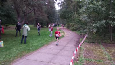 Foto des Albums: Templiner Lübbeseelauf, 13.09.2014