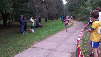 Foto des Albums: Templiner Lübbeseelauf, 13.09.2014