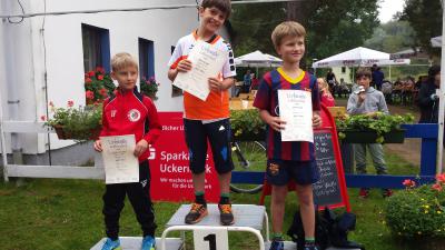 Foto des Albums: Templiner Lübbeseelauf, 13.09.2014