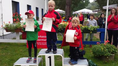 Foto des Albums: Templiner Lübbeseelauf, 13.09.2014