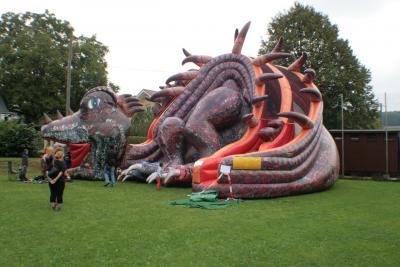 Feuerdrache   (Bild vergr&ouml;&szlig;ern)