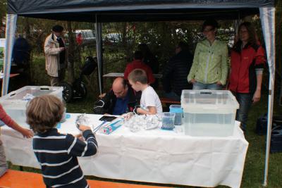 Foto des Albums: LIMES LIVE 2014; Kinderland Sportplatz, Eventmalerei