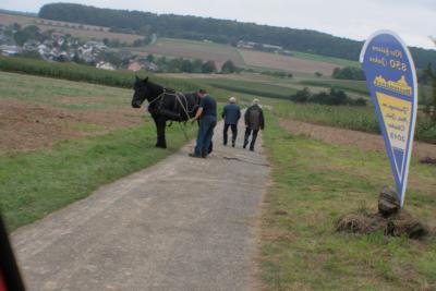 Foto des Albums: LIMES LIVE 2014; Labyrinth, Motorsägenkunst, Waldarbeit mit dem Pferd