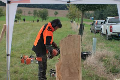 Foto des Albums: LIMES LIVE 2014; Labyrinth, Motorsägenkunst, Waldarbeit mit dem Pferd