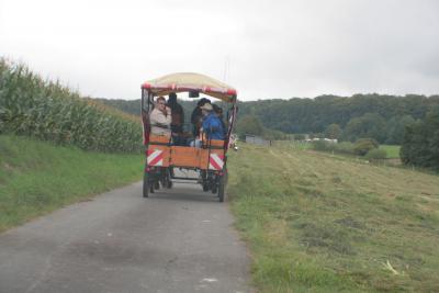 Foto des Albums: LIMES LIVE 2014; Wandern, Kutschfahrten, Ponyreiten