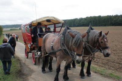 Foto des Albums: LIMES LIVE 2014; Wandern, Kutschfahrten, Ponyreiten