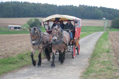 Foto des Albums: LIMES LIVE 2014; Wandern, Kutschfahrten, Ponyreiten