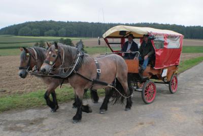 Foto des Albums: LIMES LIVE 2014; Wandern, Kutschfahrten, Ponyreiten