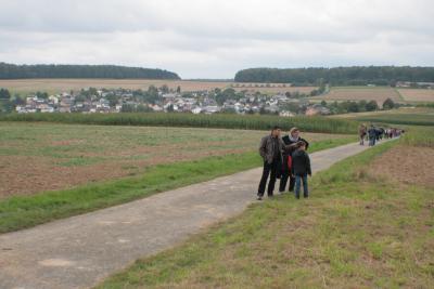 Foto des Albums: LIMES LIVE 2014; Wandern, Kutschfahrten, Ponyreiten