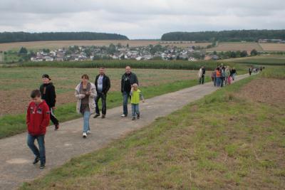 Foto des Albums: LIMES LIVE 2014; Wandern, Kutschfahrten, Ponyreiten